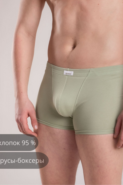Трусы SERGE 7039/203 green-074 - фото 1