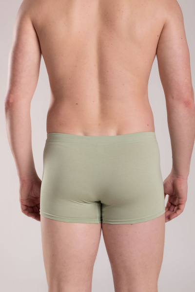 Трусы SERGE 7039/203 green-074 - фото 3